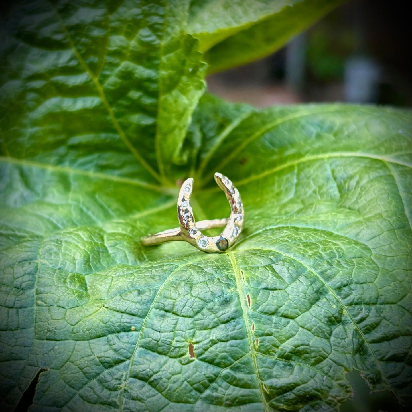 Lucky Ring