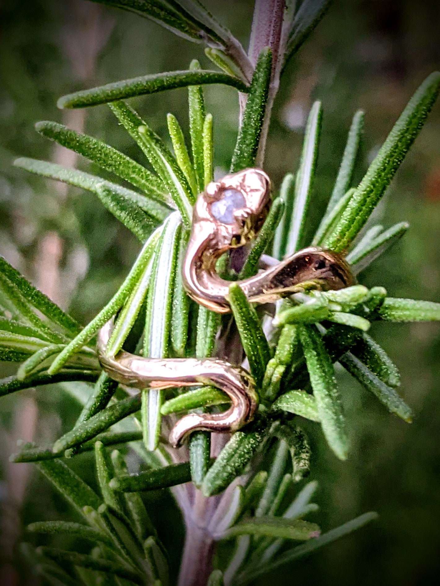 Bebe Snek Ring