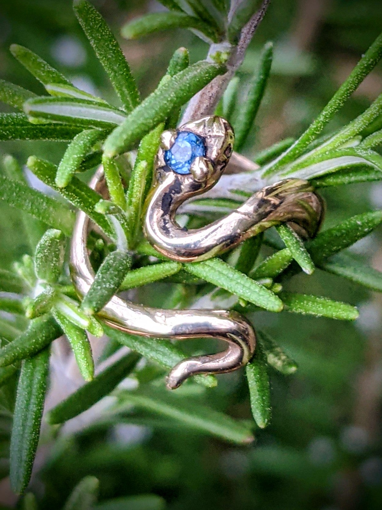 Bebe Snek Ring
