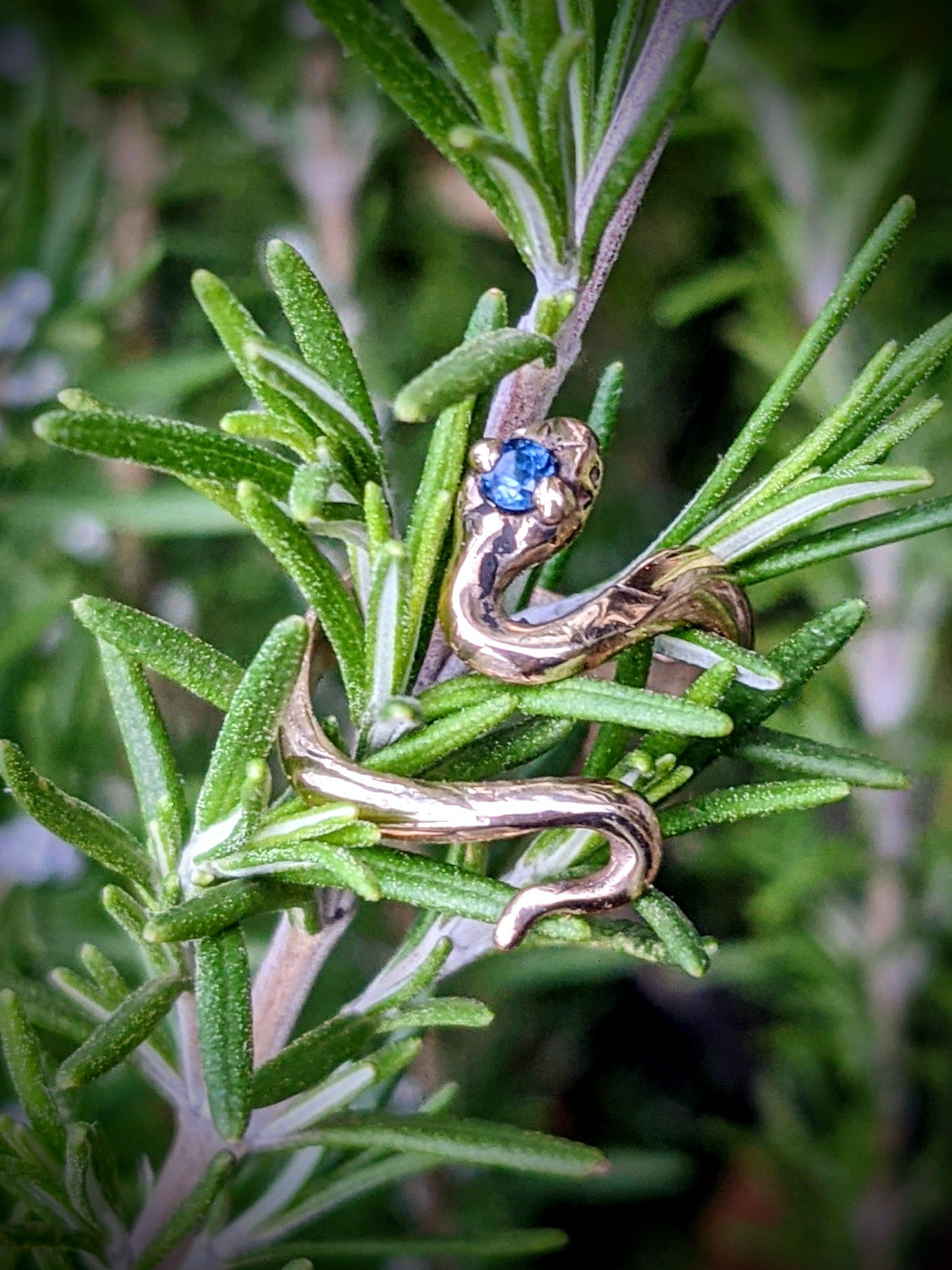 Bebe Snek Ring