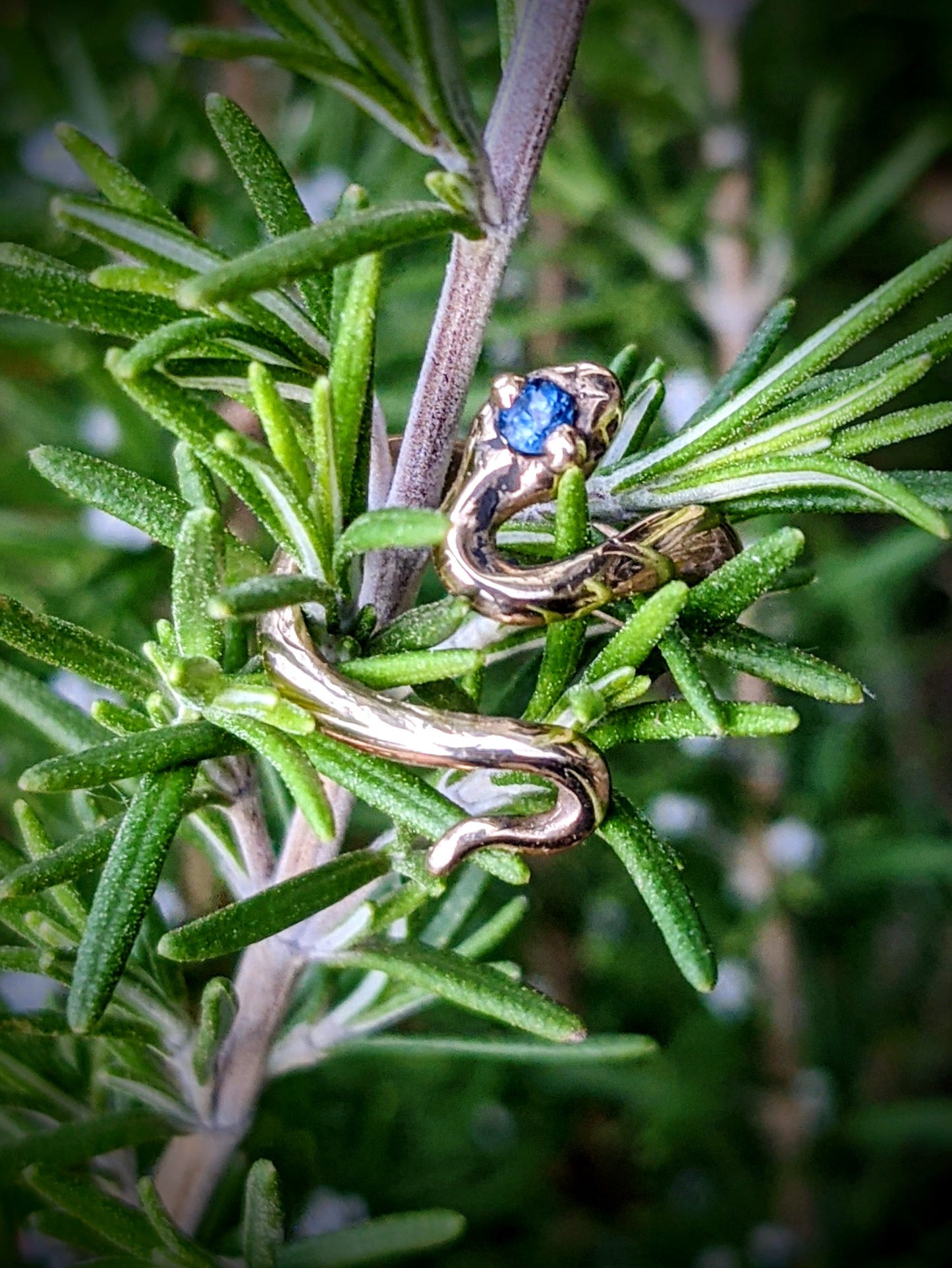 Bebe Snek Ring