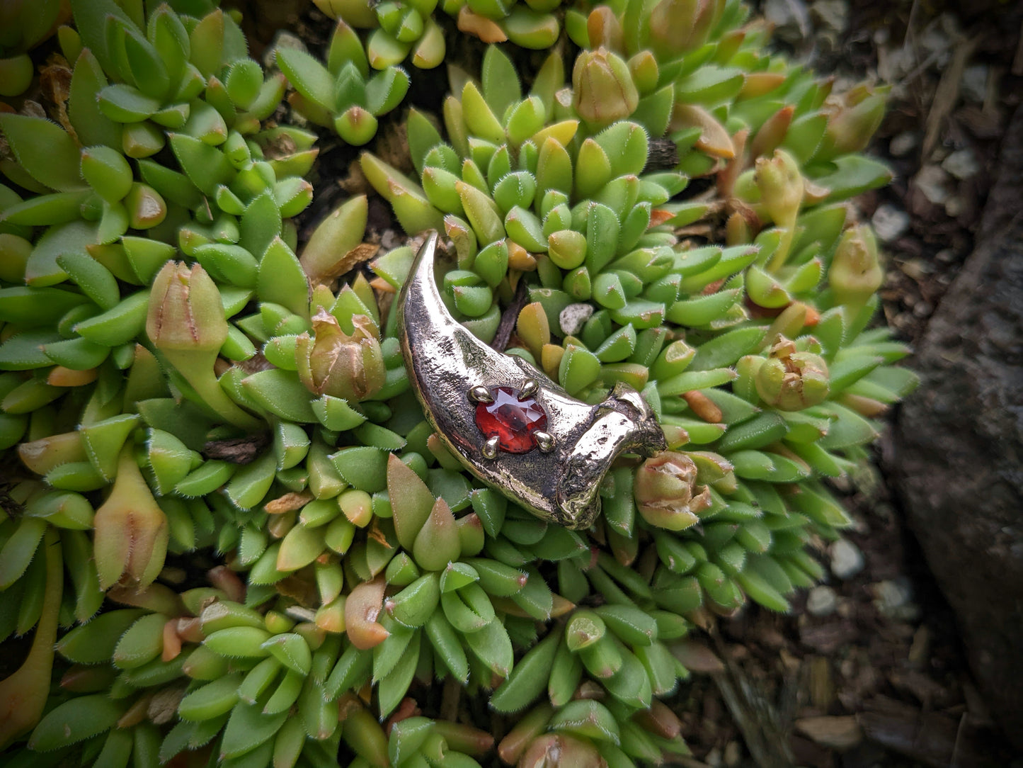 Bear Claw Necklace