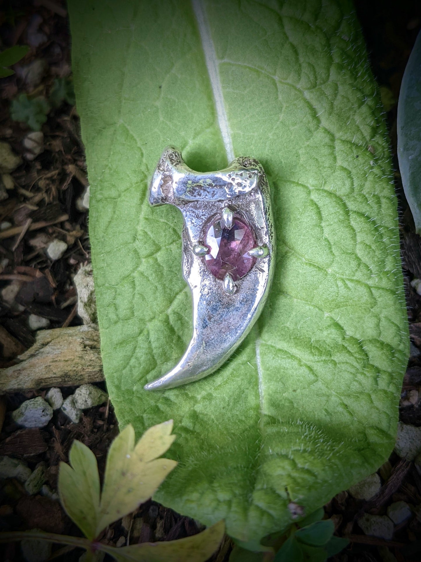 Bear Claw Necklace