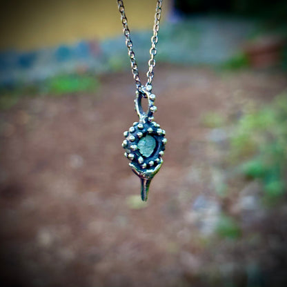 Squalus Necklace