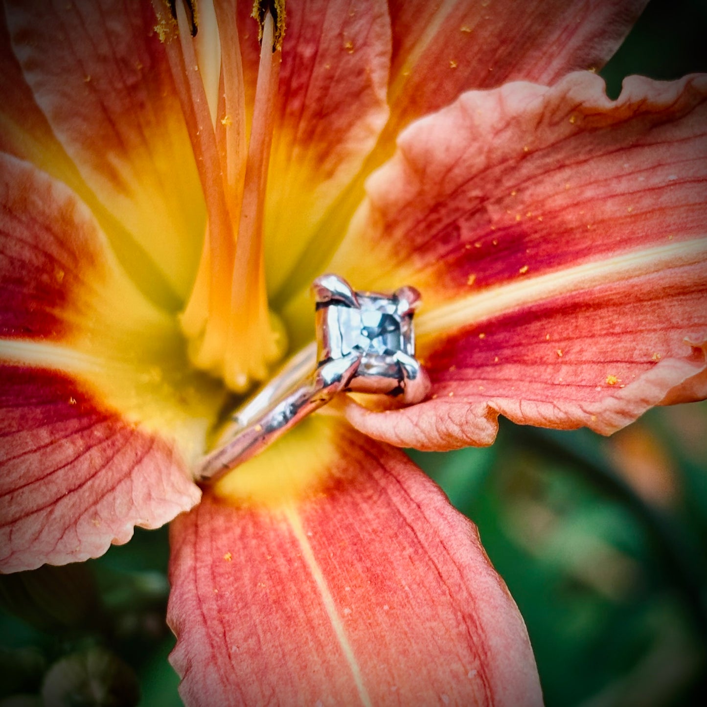 Zenith ring, Size 6