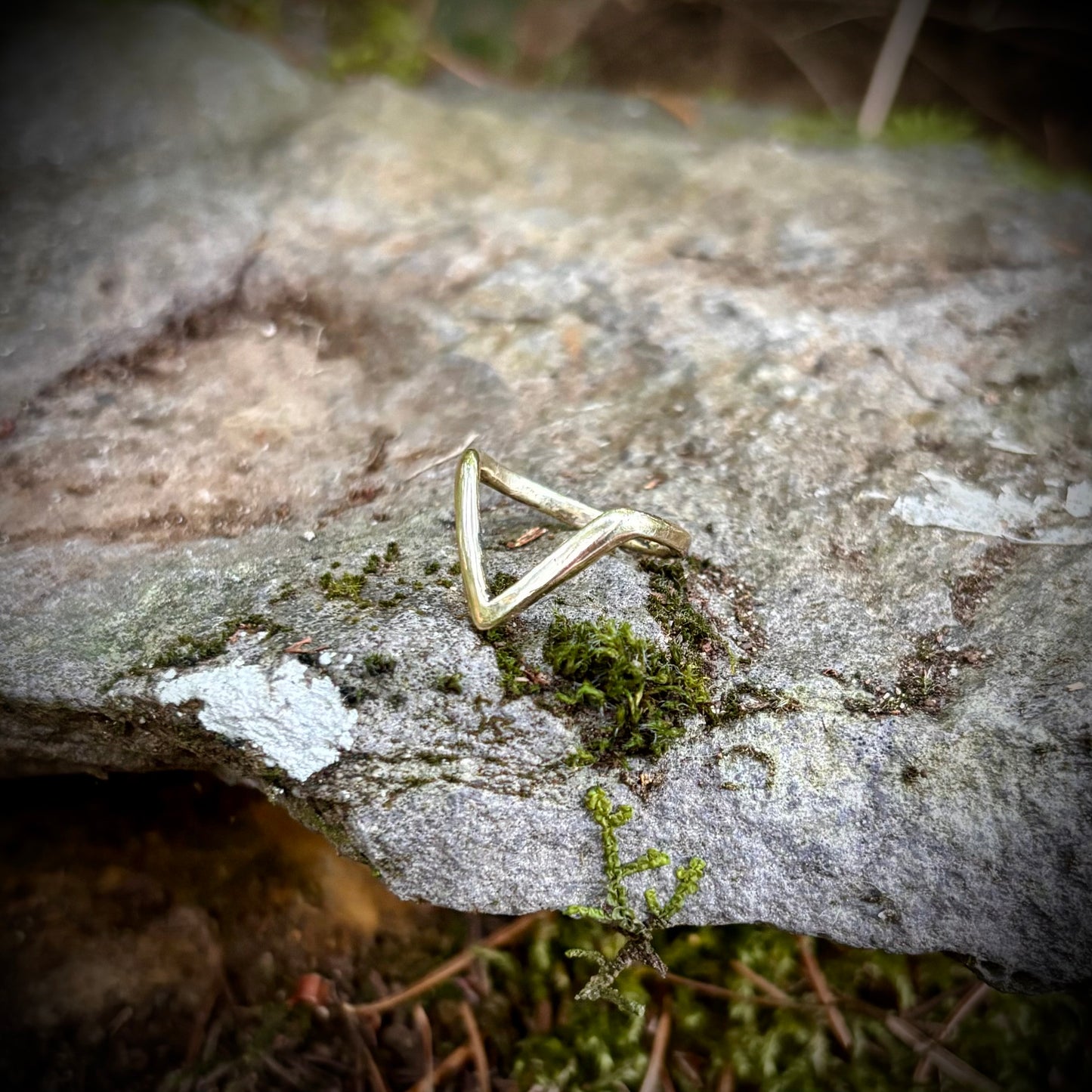 Vee Ring