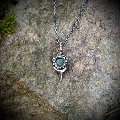 Squalus Necklace