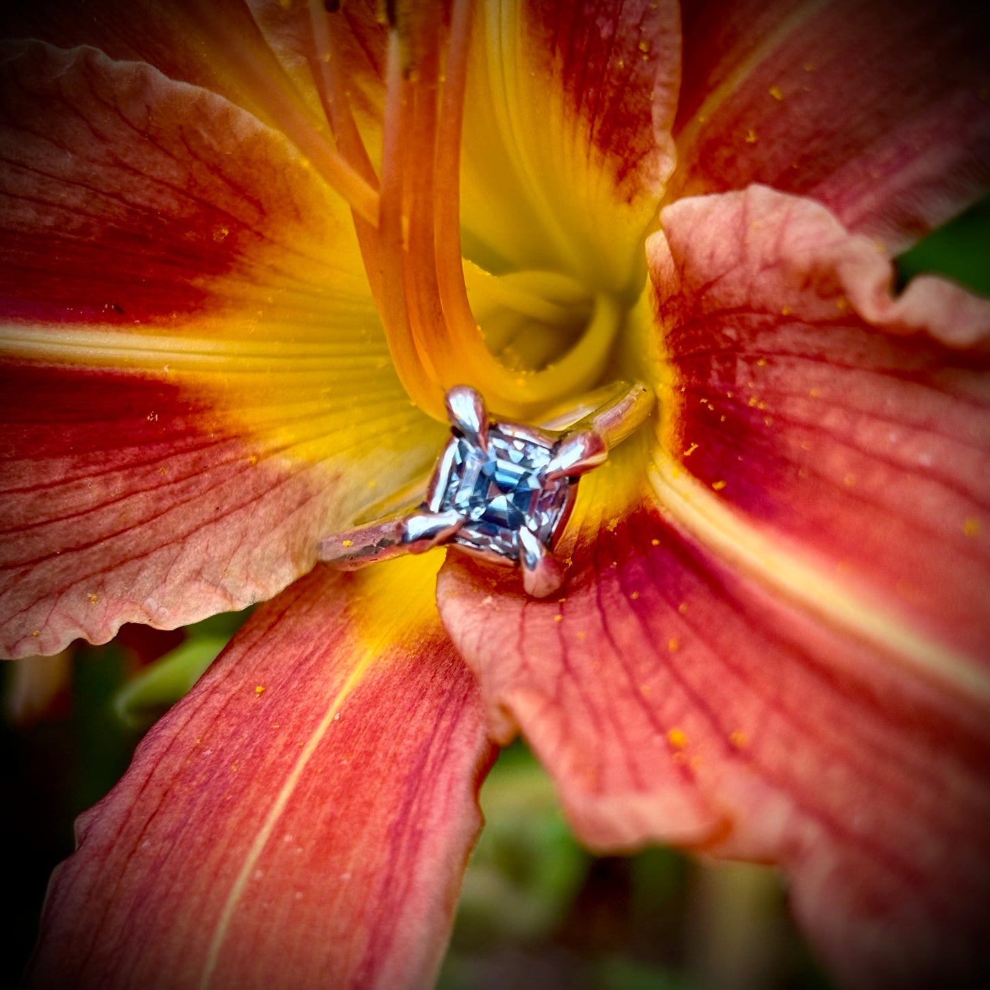 Zenith ring, Size 6