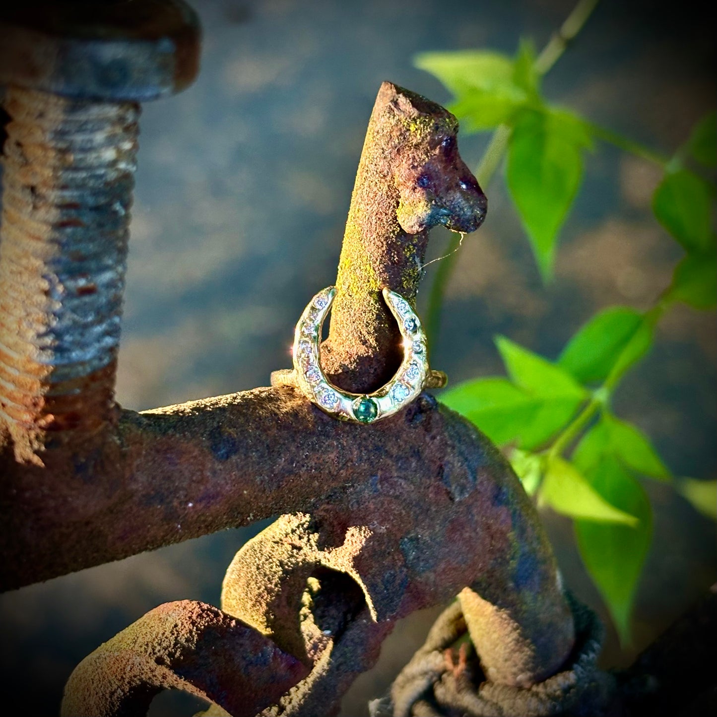 Lucky Ring
