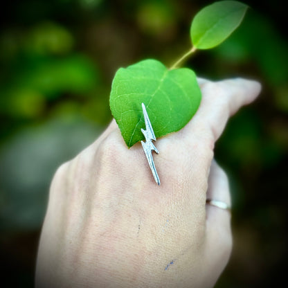 Single Silver Bolt