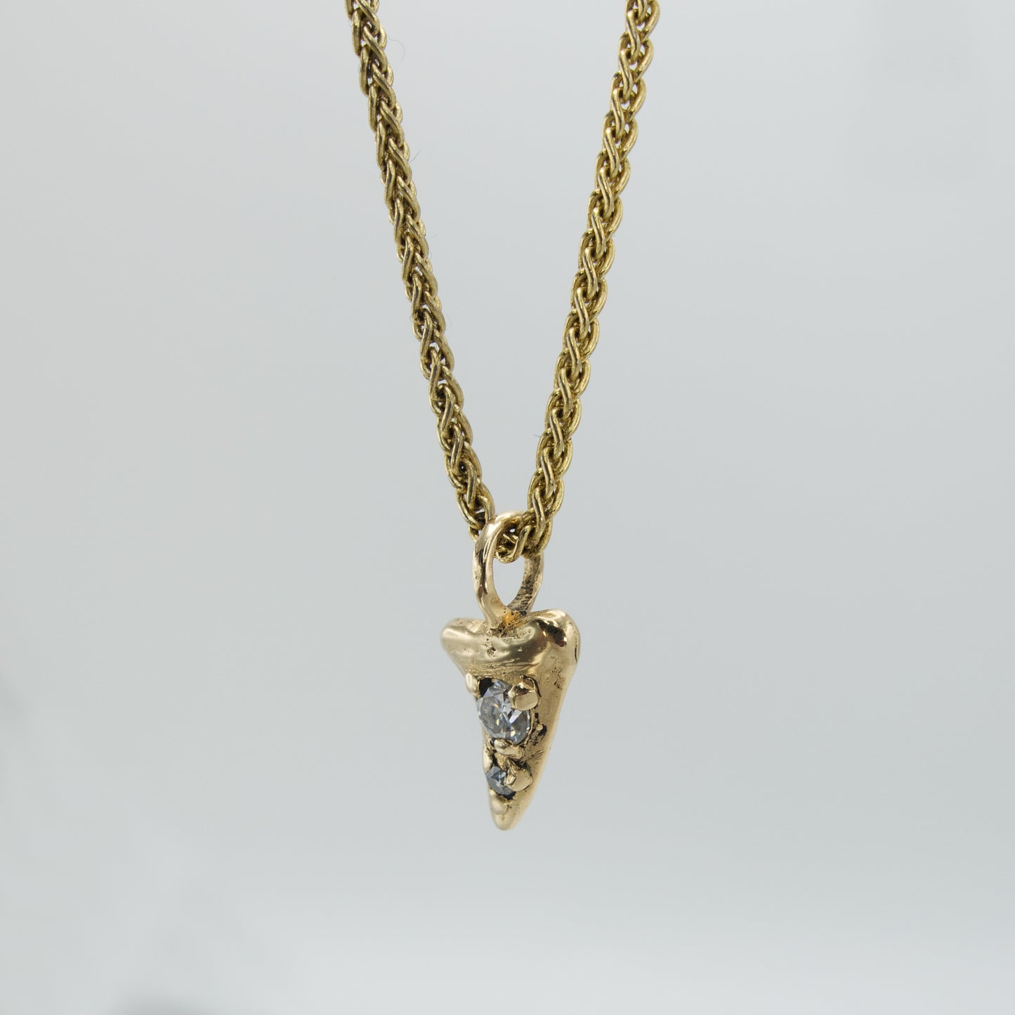 Shark Tooth Necklace