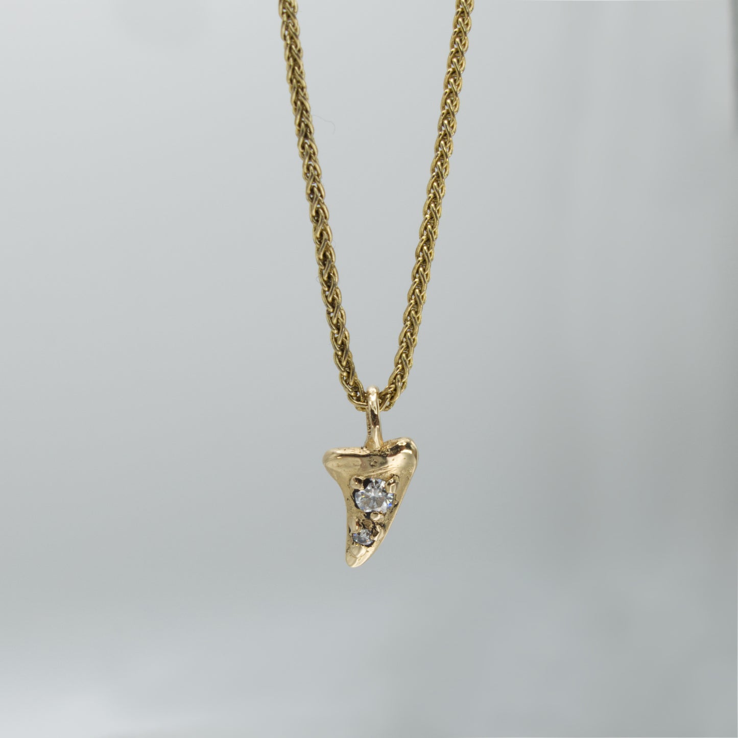 Shark Tooth Necklace