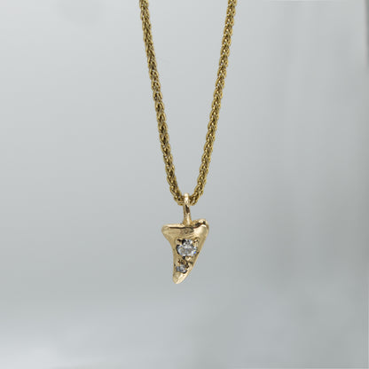 Shark Tooth Necklace