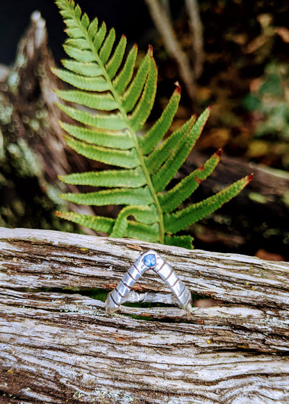 Shai Hulud Ring