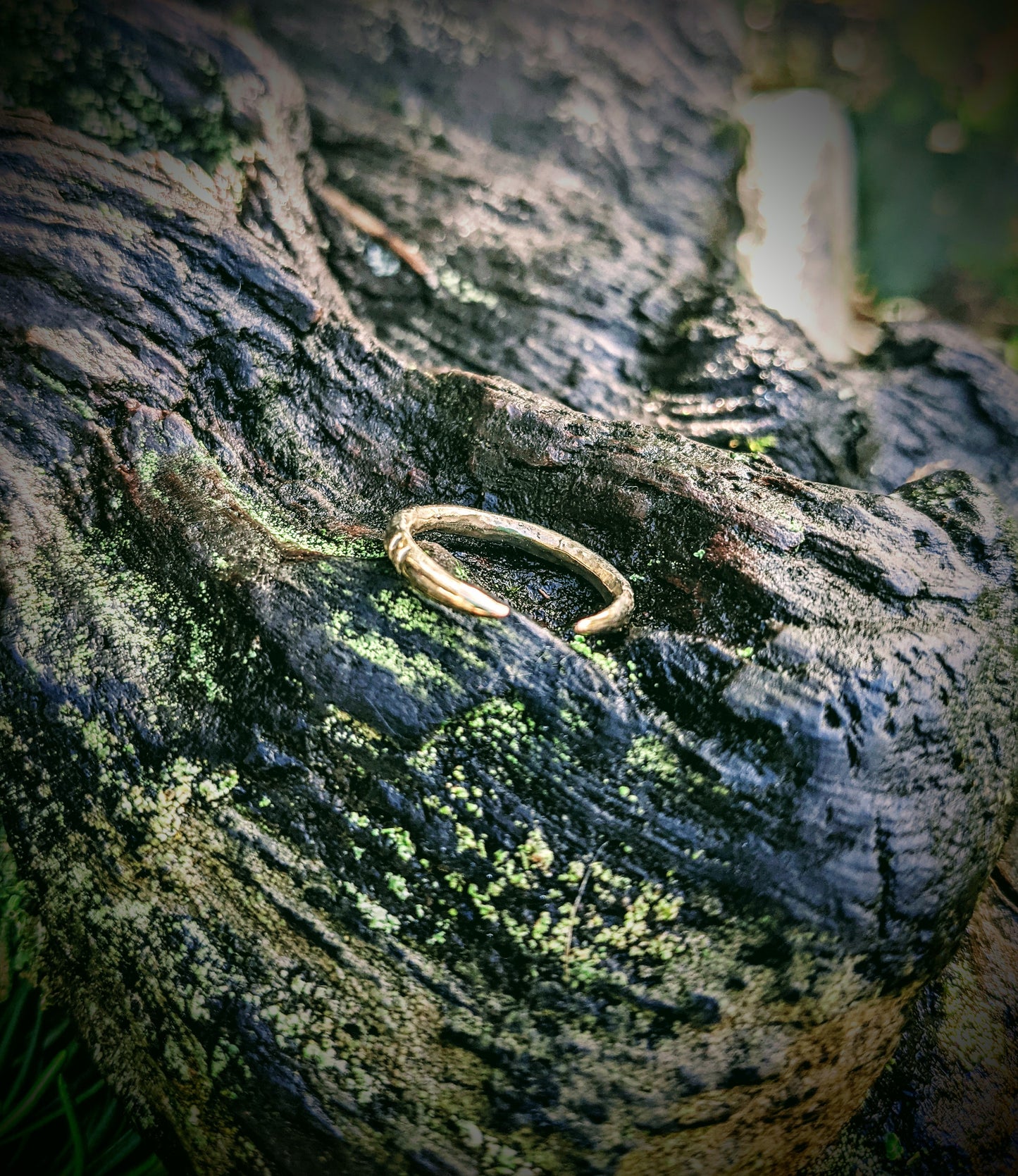 Bambu Ring