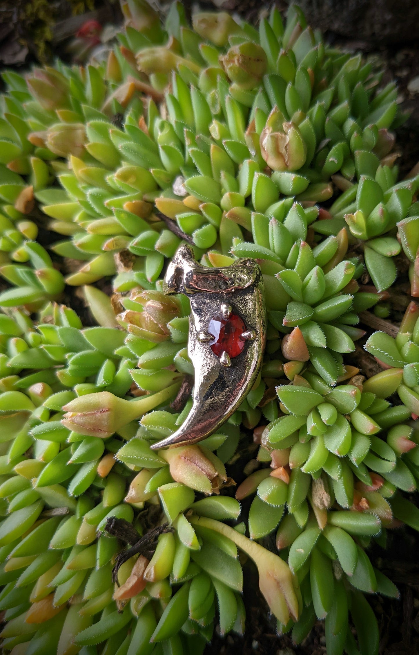 Bear Claw Necklace