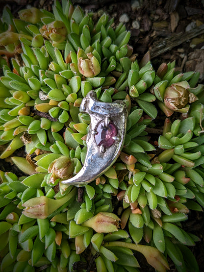 Bear Claw Necklace