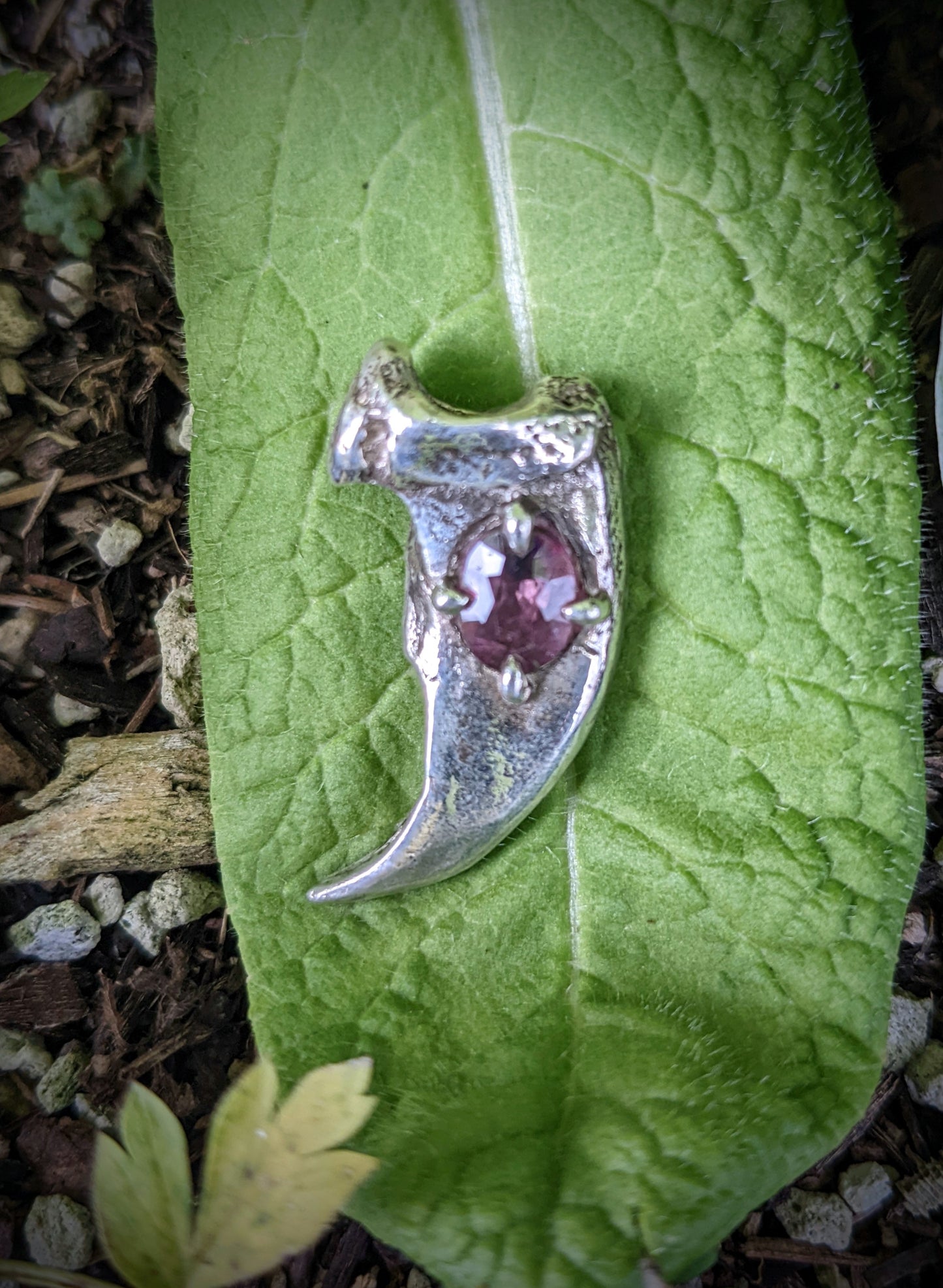 Bear Claw Necklace
