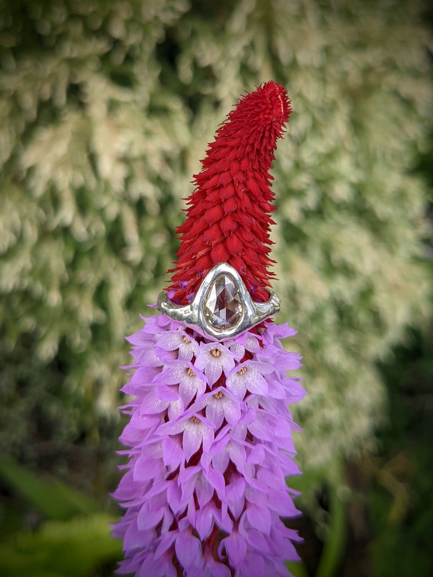 Teardrop Ring